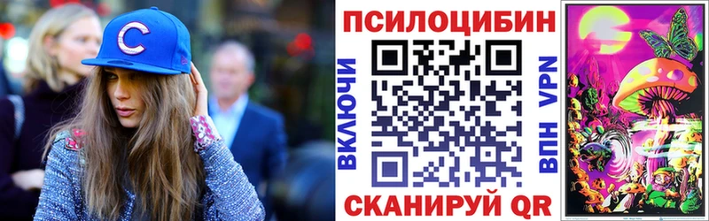 Псилоцибиновые грибы Psilocybine cubensis  Холмск 